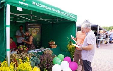 17.08.2026 - POWIAT KOZIENICKI PODZIĘKOWAŁ ZA PLONY. DOŻYNKI W GRABOWIE NAD PILICĄ ZA NAMI! 64