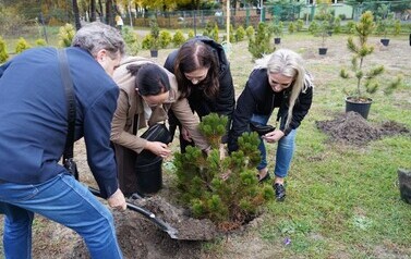 27.10.2026 - &bdquo;KOLOROWY ŚWIAT ZABAWY&rdquo; PODSUMOWANIE PROJEKTU I OTWARCIE NOWEGO PLACU ZABAW W SOSW W KOZIENICACH 15