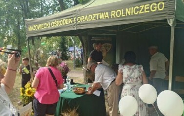 XX DOŻYNKI POWIATOWO-GMINNE &bdquo;RYCZYW&Oacute;Ł 2024&rdquo; JUŻ ZA NAMI! 29