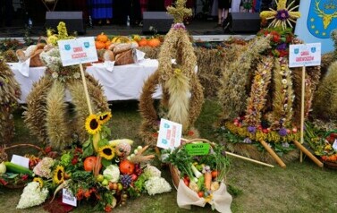 XX DOŻYNKI POWIATOWO-GMINNE &bdquo;RYCZYW&Oacute;Ł 2024&rdquo; JUŻ ZA NAMI! 110