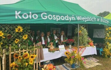 V PRZEGLĄD KGW ZIEMI KOZIENICKIEJ W PRL-OWSKIEJ ODSŁONIE 16