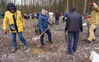 LAS PEŁEN PRZYSZŁOŚCI &ndash; WSP&Oacute;LNA AKCJA SADZENIA DRZEW W NADLEŚNICTWIE KOZIENICE 3