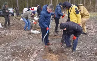 LAS PEŁEN PRZYSZŁOŚCI &ndash; WSP&Oacute;LNA AKCJA SADZENIA DRZEW W NADLEŚNICTWIE KOZIENICE 6