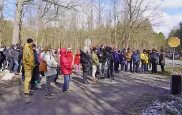LAS PEŁEN PRZYSZŁOŚCI &ndash; WSP&Oacute;LNA AKCJA SADZENIA DRZEW W NADLEŚNICTWIE KOZIENICE 13
