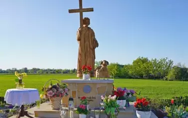 NOWA FIGURA W KĘPIE W&Oacute;LCZYŃSKIEJ 1