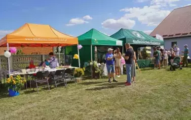 ŚWIĘTO PLON&Oacute;W W BRZEŹNICY &ndash; DOŻYNKI GMINY KOZIENICE 2025 16