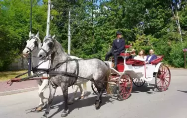 Z SZACUNKIEM DLA CHLEBA, Z DUMĄ O ROLNIKACH 146