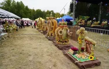 XXV DOŻYNKI POWIATOWE W ZWOLENIU 13
