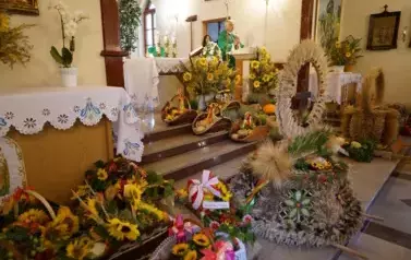 ŚWIĘTO PLON&Oacute;W W GMINIE MAGNUSZEW 26