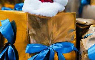 2025.12.22 - PRZEDŚWIĄTECZNA, PEŁNA RADOŚCI, WIZYTA W PANDZIE 22