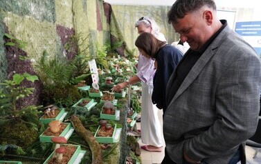 02.06.2026 - GRZYBY BEZ TAJEMNIC - RUSZYŁA WYJĄTKOWA WYSTAWA EDUKACYJNA 6
