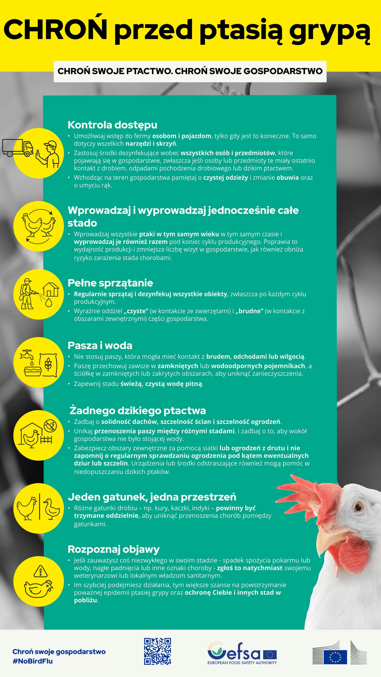 OGŁOSZENIE DOTYCZĄCE OCHRONY STAD DROBIU PRZED GRYPĄ PTAK&Oacute;W