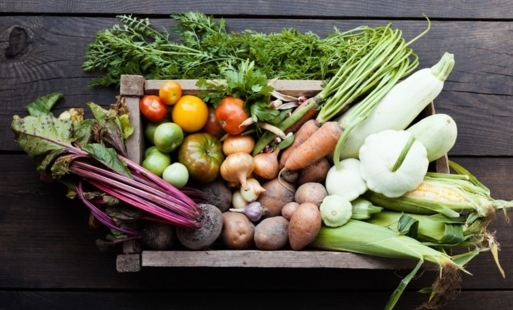 NABÓR UCZESTNIKÓW NA TARGI I FESTIWALE BRANŻY ROLNO-SPOŻYWCZEJ 2026