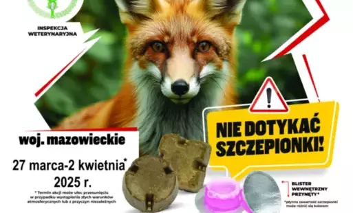 Zdjęcie do UWAGA! WIOSENNA AKCJA SZCZEPIENIA LIS&Oacute;W