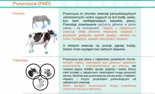 Zdjęcie do PRYSZCZYCA (FMD) CHOROBA ZWIERZĄT PARZYSTNOKOPYTNYCH