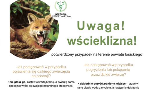 Zdjęcie do UWAGA WŚCIEKLIZNA! POTWIERDZONY PRZYPADEK NA TERENIE POWIATU ŁOSICKIEGO