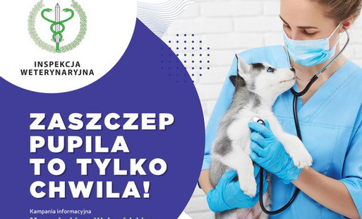Zdjęcie do ZASZCZEP PUPILA TO TYLKO CHWILA! 