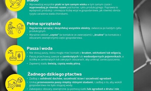 OGŁOSZENIE DOTYCZĄCE OCHRONY STAD DROBIU PRZED GRYPĄ PTAKÓW